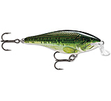 Image of Rapala Shallow Shad Rap Crankbait, 2 3/4in, 1/4 oz, Floating