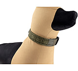 Raptor Tactical K9 Odin Collar, Ranger Green, K9OC-RG-45D