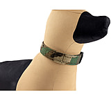 Image of Raptor Tactical K9 Odin Collar
