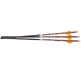 Ravin Match Weight Lighted Bolts 400Gr