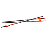 Image of Ravin .003 Crossbow Bolts