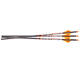 Image of Ravin .001 Crossbow Bolts