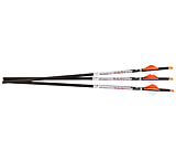Image of RAVIN R349 RAVIN XK5 500GR .001 ARROWS 3PK