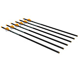Image of Ravin R500 Series Carbon Xbow Arrows