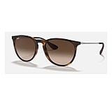 Image of Ray-Ban Erika Sunglasses ABDB3B2B