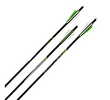 Image of Allen Cx600 Crossbow Bolt, 3 Pack