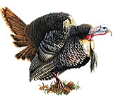 Image of River's Edge Magnetic Art Panel "strutting Turkey" 11"x9"