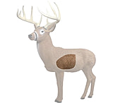 Image of Rinehart Big Ten 2.0 Replacement Vital