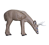 Image of Rinehart Broadhead Buck Target