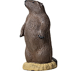 Image of Rinehart Groundhog Targets