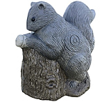 Image of Rinehart Squirrel Target