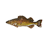 Image of River's Edge Walleye Cribbage Set W/ Cards 712