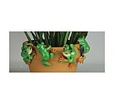Image of River's Edge Pot Pals - Tree Frog