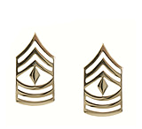Image of Rothco First Sergeant Polished Insignia