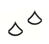Image of Rothco Private First Class Polished Insignia