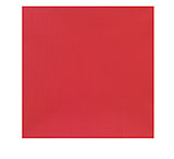 Rothco Solid Bandana
