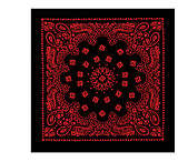 Rothco Trainmen Bandana