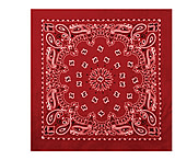 Image of Rothco Trainmen Bandana