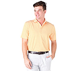 Image of Saint Bernard Jeff Stripe Performance Polo - Men's