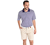 Image of Saint Bernard Stripe Performance Knit Collar Polo - Men's
