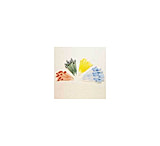 Image of Samco Disposable Transfer Pipets, Graduated, Samco Scientific 222-1S Large Bulb, Pack of 500