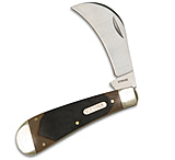 Image of Old Timer Hawkbill