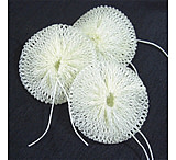 Image of Soto Compact Mantle Set - 3 pk