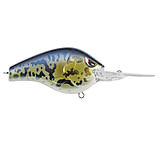 Image of Spro Fat Papa