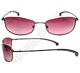 Image of cK Sunglasses 2031