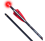Image of TenPoint Crossbow Technologies Lighted CenterPunch Alpha-Blaze HPX Premium Carbon Arrows