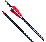 Image of TenPoint Crossbow Technologies CenterPunch HPX Premium Carbon Arrows