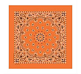 Image of Carolina Manufacturing Paisley Orange