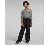 Image of The North Face Boys' Freedom Insulated Pant E483B9C9