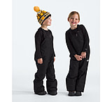 Image of The North Face Kids' Freedom Insulated Bib CC9D9DAC