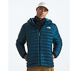 Image of The North Face Men's Terra Peak Hoodie F7BFD418