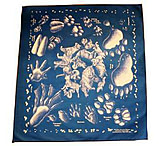 Image of The Printed Image , Animal Tracks