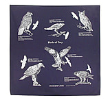 Image of The Printed Image , Birds of Prey