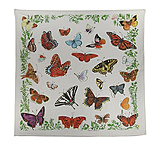 Image of The Printed Image , Butterflies