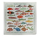 Image of The Printed Image , Pacific Coast Fishes