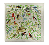 Image of The Printed Image , Songbirds