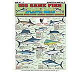 Image of Tightlines Bait Rigging Charts