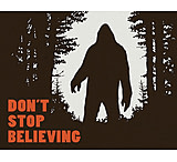 Image of Tin Signs Dont Stop Believing Sign
