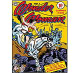 Image of Tin Signs Wonder Woman #1 Cover