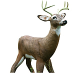 Image of Tinks Decoy, Mr. October W5872