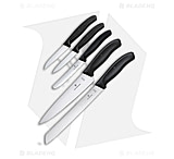 Image of Victorinox Swiss Classic 5 Piece Kitchen Knife Set