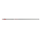 Image of Victory RIP Sport Arrow