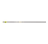 Image of Victory RIP XV Elite Arrows