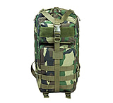 Image of VISM Small Backpack