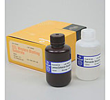 Image of VWR Ecl Western Blotting 500ml W1015