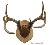 Image of Walnut Hollow Antler Mounting
